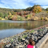 An Autumn Day in the Adelaide Hills